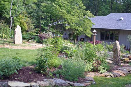 front-garden-to-house