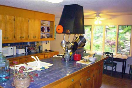 Home Interior - kitchen