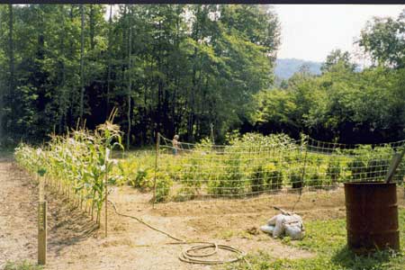 Organic Market Garden Organic Market Garden