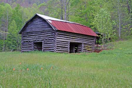 Old Chestnut Barn and Pasture next to Creek