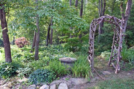 Woodland Garden with Winding Paths